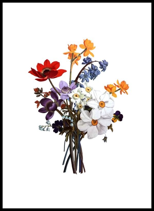 ALP F13037 Prevost Bougnets (Antique Prints)